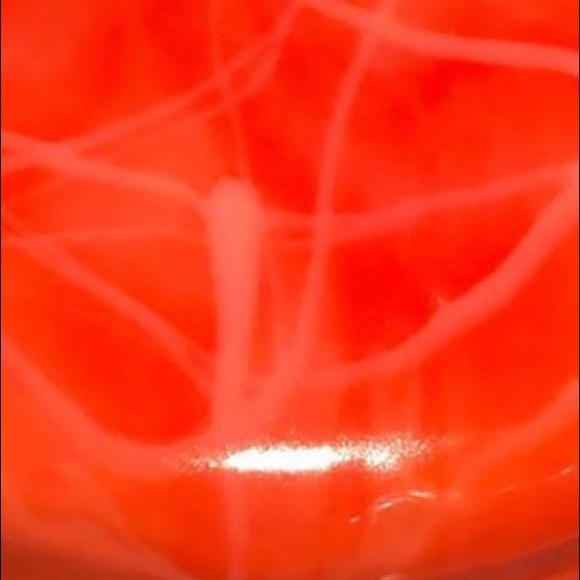 Meet the Posher Other - Meet your Posher, Erin